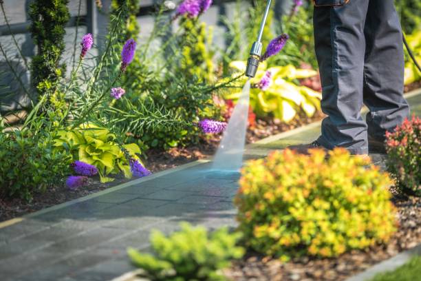 Best Sign and Awning Cleaning  in Williston Park, NY