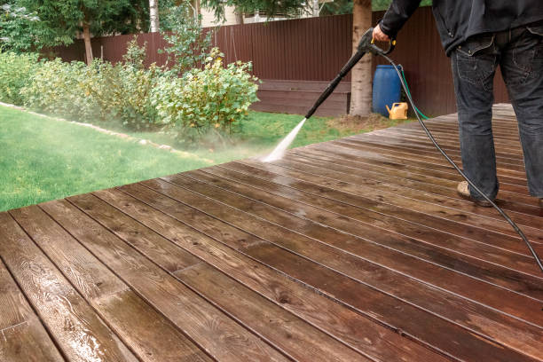 Best Solar Panel Cleaning  in Williston Park, NY