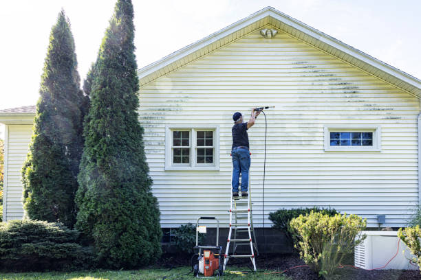 Best Roof Washing  in Williston Park, NY