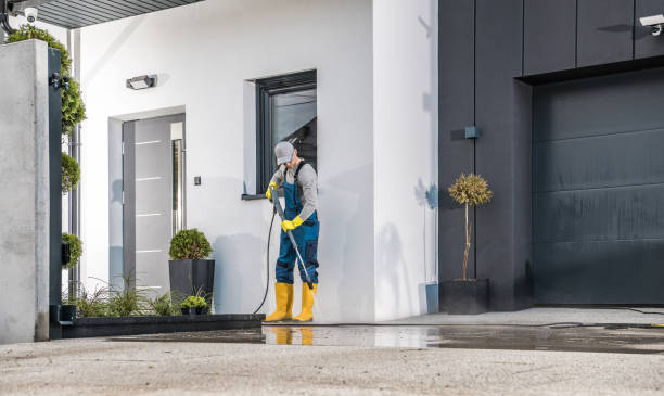 Best Dumpster Area Cleaning  in Williston Park, NY